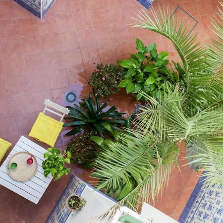 Apartamento Wish Pureza De Triana